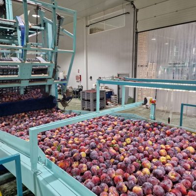 Immagine WhatsApp 2023-09-25 ore 21.11.37