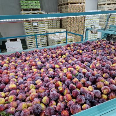 Immagine WhatsApp 2023-09-25 ore 21.11.38