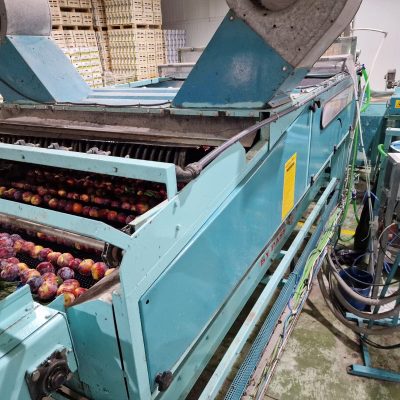 Immagine WhatsApp 2023-09-25 ore 21.12.31