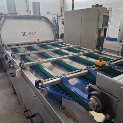 Immagine WhatsApp 2023-09-25 ore 21.17.28-55