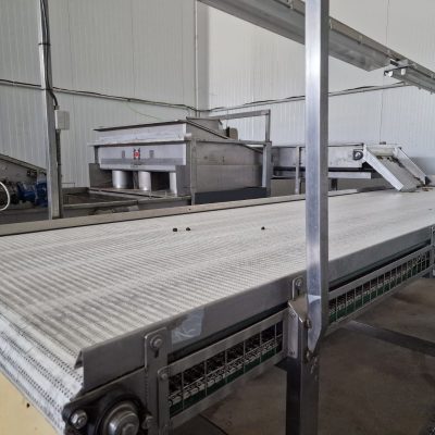 Immagine WhatsApp 2023-09-25 ore 21.17.30-55