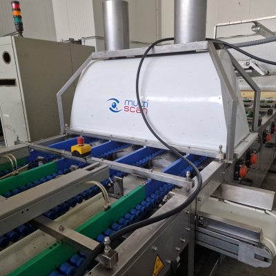 Immagine WhatsApp 2023-09-25 ore 21.17.30-99