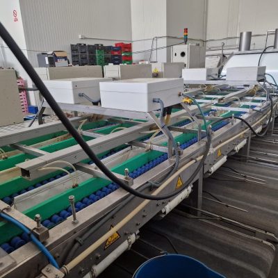 Immagine WhatsApp 2023-09-25 ore 21.17.32-44