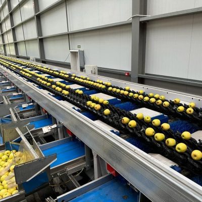 Immagine WhatsApp 2023-09-25 ore 21.17.38