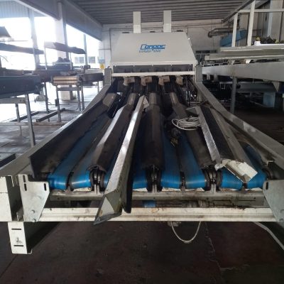 Immagine WhatsApp 2023-09-25 ore 21.20.15