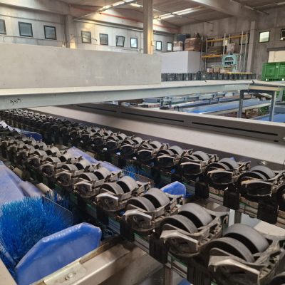 Immagine WhatsApp 2023-09-25 ore 21.20.31-55