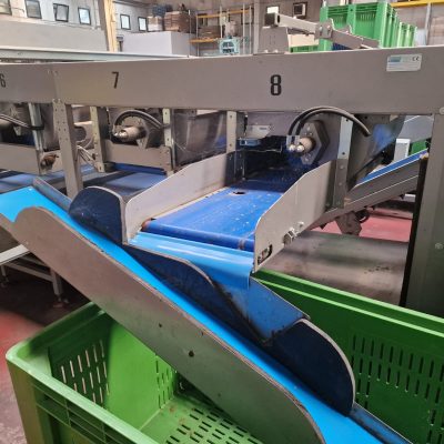 Immagine WhatsApp 2023-09-25 ore 21.20.33-66