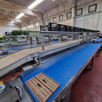 Immagine WhatsApp 2023-09-25 ore 21.20.38-66