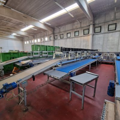 Immagine WhatsApp 2023-09-25 ore 21.20.38