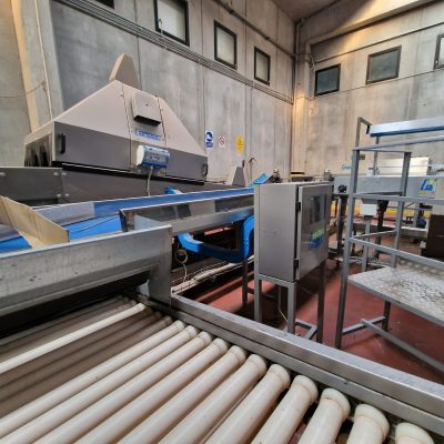 Immagine WhatsApp 2023-09-25 ore 21.20.39