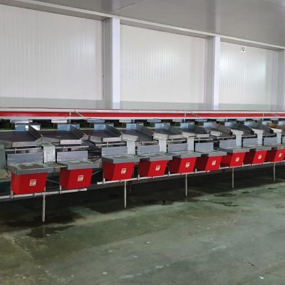 Immagine WhatsApp 2023-09-25 ore 21.20.46-556