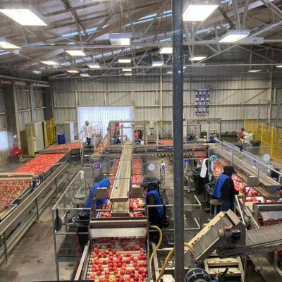 Immagine WhatsApp 2023-09-26 ore 20.20.05