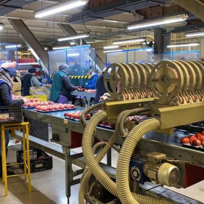 Immagine WhatsApp 2023-09-26 ore 20.20.07