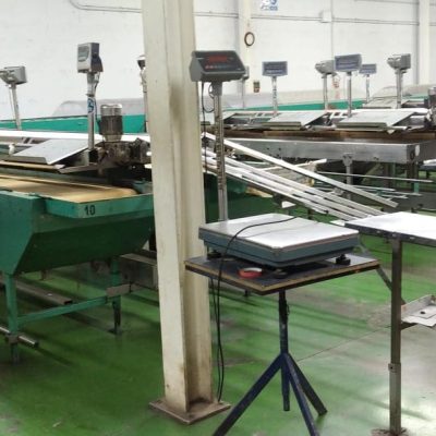 Immagine WhatsApp 2023-10-05 ore 12.22.24_c7f276be