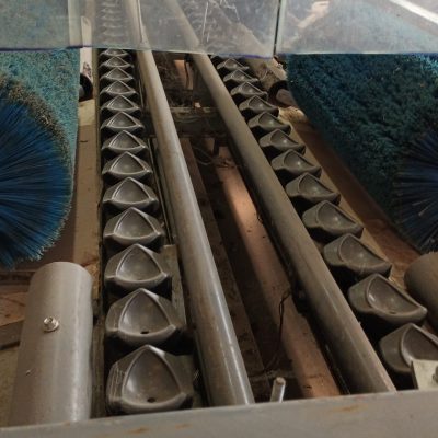 Immagine WhatsApp 2023-10-11 ore 15.45.47_d8abb2ac