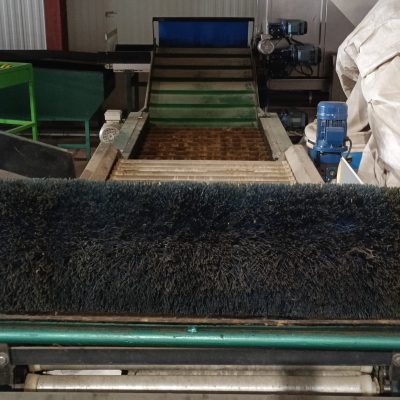 Immagine WhatsApp 2023-10-13 ore 13.18.30_122f8ded