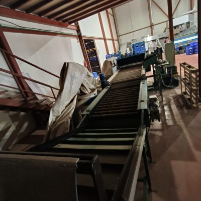 Immagine WhatsApp 2023-10-13 ore 13.18.30_86642da6