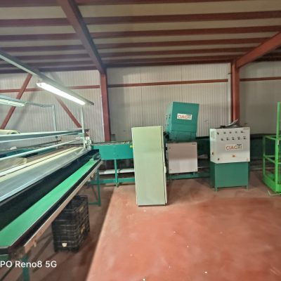 Immagine WhatsApp 2023-10-13 ore 13.18.31_69bb2db1