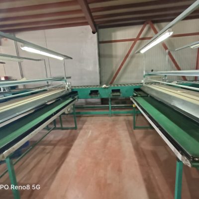 Immagine WhatsApp 2023-10-13 ore 13.18.31_aaef435f