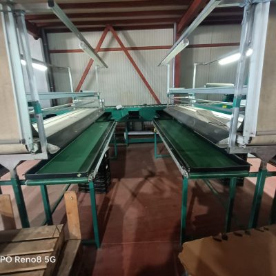 Immagine WhatsApp 2023-10-13 ore 13.18.31_addfa63b