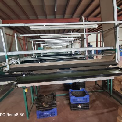 Immagine WhatsApp 2023-10-13 ore 13.18.32_79d76739