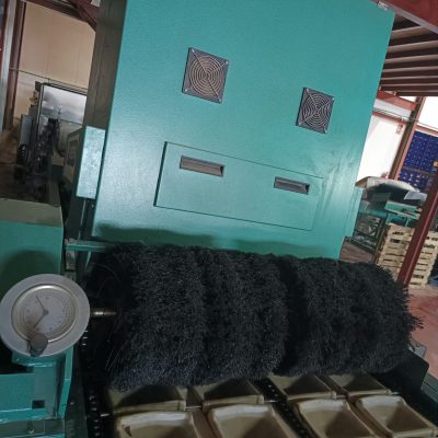 Immagine WhatsApp 2023-10-13 ore 13.18.33_40e4939a