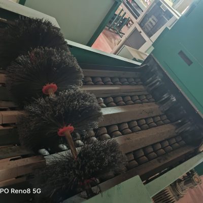 Immagine WhatsApp 2023-10-13 ore 13.18.33_bec052b8