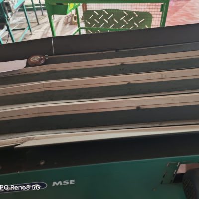 Immagine WhatsApp 2023-10-13 ore 13.18.34_7ff360c1