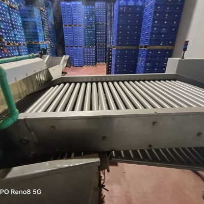 Immagine WhatsApp 2023-10-13 ore 13.18.34_feb9c429