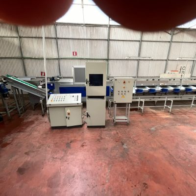 Immagine WhatsApp 2023-10-26 ore 15.37.00_4a49c88a