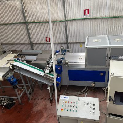 Immagine WhatsApp 2023-10-26 ore 15.37.02_e79dabf7