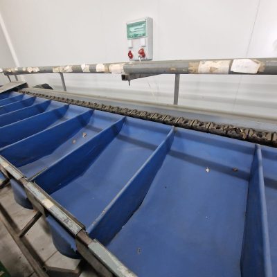 Immagine WhatsApp 2023-11-08 ore 23.33.33_82c2cd4b