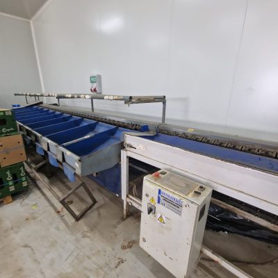 Immagine WhatsApp 2023-11-08 ore 23.33.33_ae65d2ad