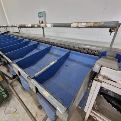 Immagine WhatsApp 2023-11-08 ore 23.33.34_229a0e83