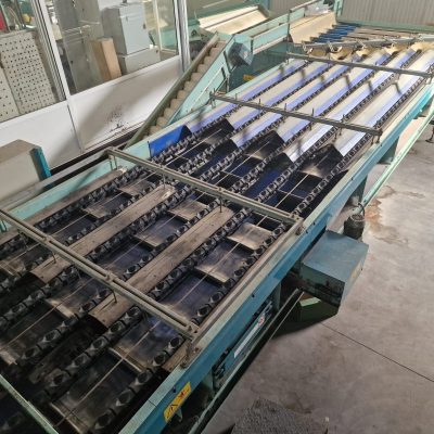 Immagine WhatsApp 2023-11-11 ore 23.14.50_2fd5d7cc