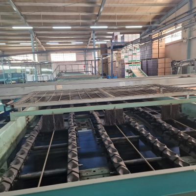 Immagine WhatsApp 2023-11-11 ore 23.14.53_738a9d44