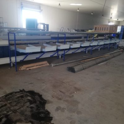 Immagine WhatsApp 2023-11-11 ore 23.15.56_68b0b50a