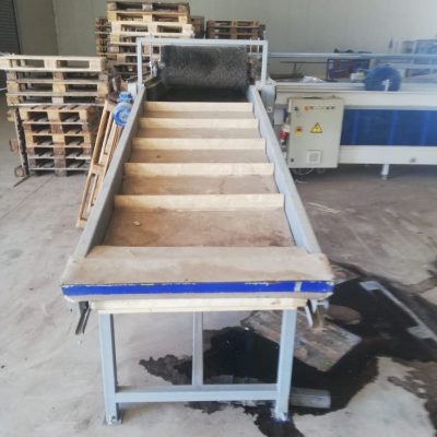 Immagine WhatsApp 2023-11-11 ore 23.15.56_faa696c1