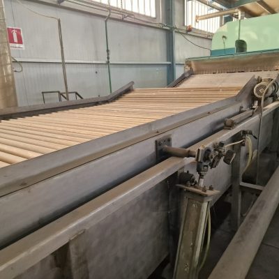 Immagine WhatsApp 2023-11-11 ore 23.16.26_1a2b7ff0