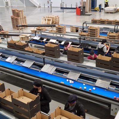 Immagine WhatsApp 2023-11-30 ore 08.57.48_ab003c89