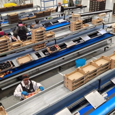 Immagine WhatsApp 2023-11-30 ore 08.57.48_c5eccb89