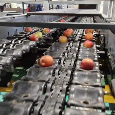 Immagine WhatsApp 2023-11-30 ore 08.57.49_d1d83005