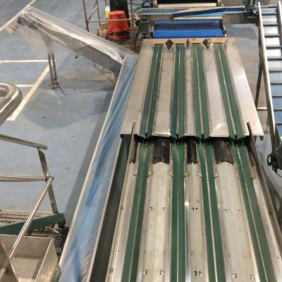 Immagine WhatsApp 2023-11-30 ore 10.17.55_379ee9ed