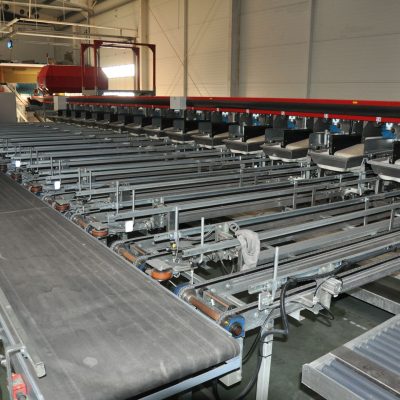 Immagine WhatsApp 2023-12-04 ore 13.53.15_1d0baaab