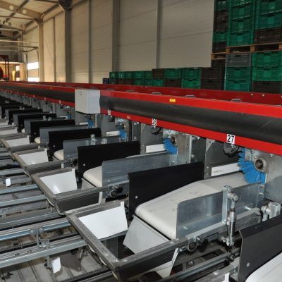 Immagine WhatsApp 2023-12-04 ore 13.53.15_72f90f2d