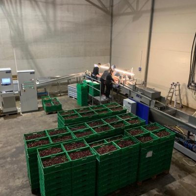 Immagine WhatsApp 2023-12-17 ore 13.31.40_a954c46a