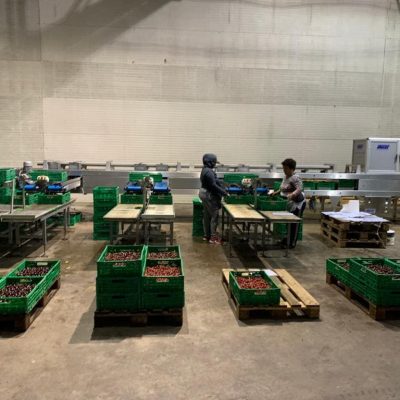 Immagine WhatsApp 2023-12-17 ore 13.31.41_045be74e