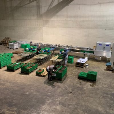 Immagine WhatsApp 2023-12-17 ore 13.31.41_0fc7776b