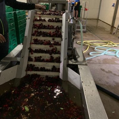 Immagine WhatsApp 2023-12-17 ore 13.31.41_9d040ab8