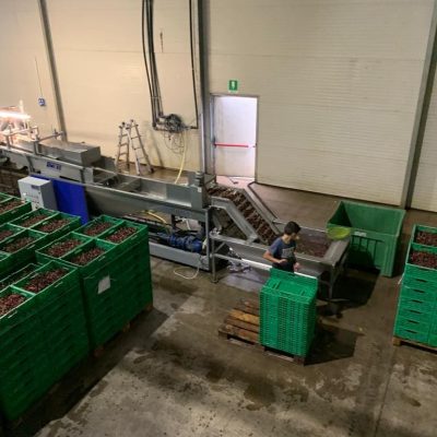 Immagine WhatsApp 2023-12-17 ore 13.31.41_bc6e1f24